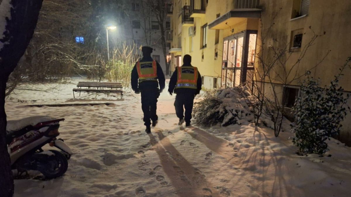 Rendőrök segítettek az idős tolnai asszonynak, fát aprítottak a kemény mínuszokban + videó