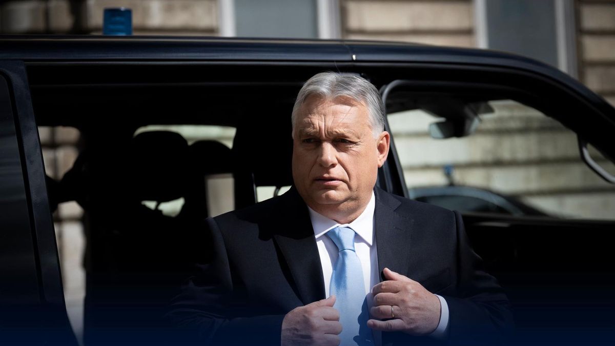 Az ultraliberális Hajós András szerint is Orbán Viktornak van igaza + videó