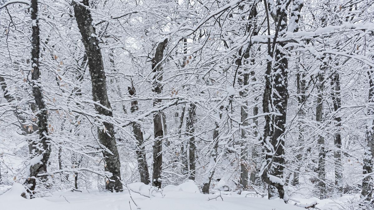 Havas eső és havazás érkezik a hétvégére