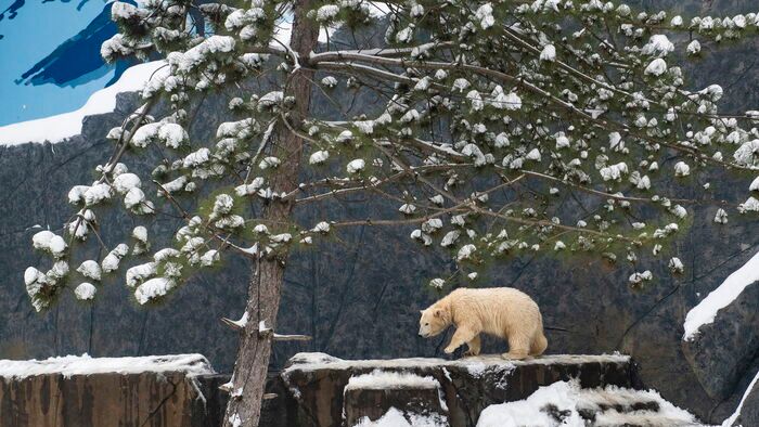 Havazás Nyíregyházán