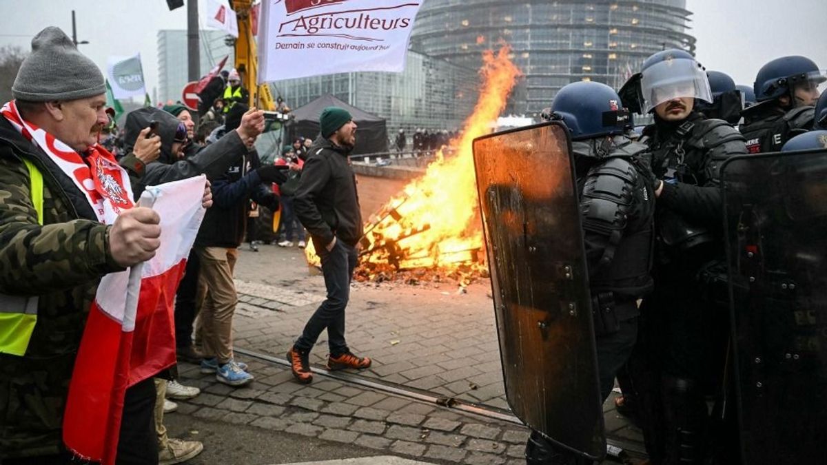 Gazdatüntetés Strasbourgban: az európai mezőgazdaság jövője nem alku tárgya + videó + galéria