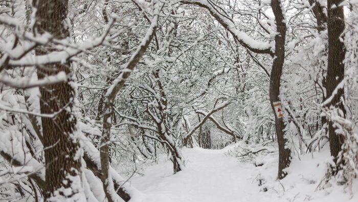 Havazás a Mecsekben