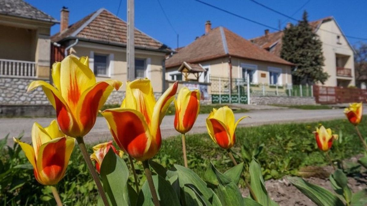 Templomfelújítástól a kocsmaprogramig – folytatódik a magyar falvak megerősítése