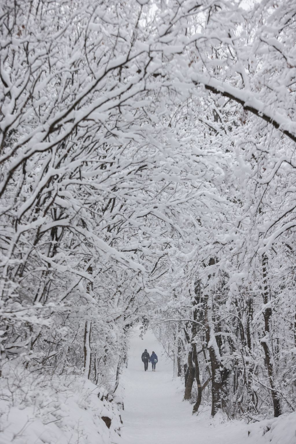 Havazás a Mecsekben