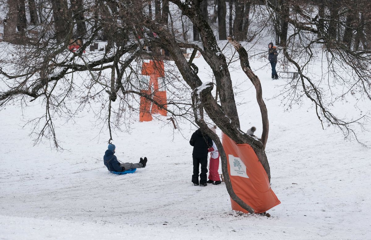 Budapest, 2021. január 19.
A Normafa játszótere melletti szánkópályán élvezik a csúszkálást a gyermekek. A pálya közelében lévő fákra szines sportszőnyegeket kötöttek, hogy az ütközésektől megóvják a szánkózókat.
MTVA/Bizományosi: Nagy Zoltán 
***************************
Kedves Felhasználó!
Ez a fotó nem a Duna Médiaszolgáltató Zrt./MTI által készített és kiadott fényképfelvétel, így harmadik személy által támasztott bárminemű – különösen szerzői jogi, szomszédos jogi és személyiségi jogi – igényért a fotó szerzője/jogutódja közvetlenül maga áll helyt, az MTVA felelőssége e körben kizárt.