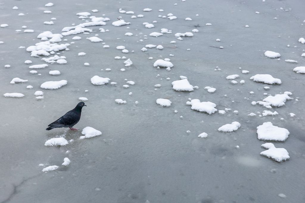 hó, havazás Budapesten