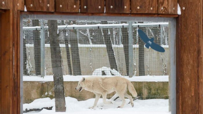 Havazás Nyíregyházán