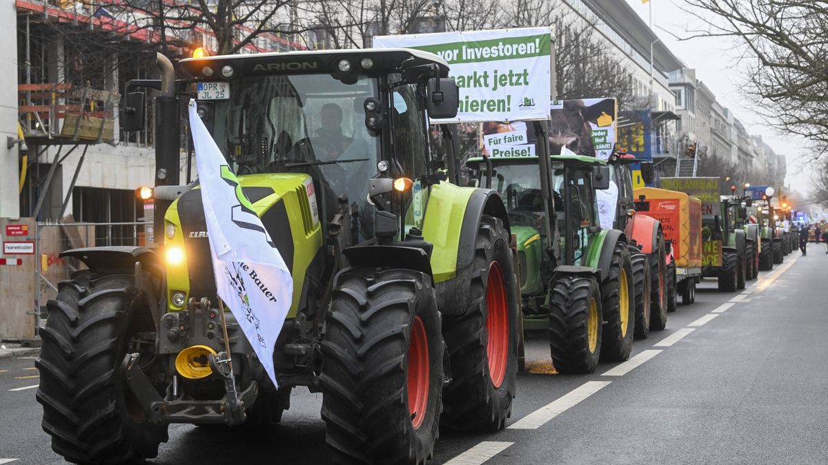 Gál Kinga: Az Európai Bizottság ismét elárulta a gazdák érdekeit a Mercosur-megállapodással