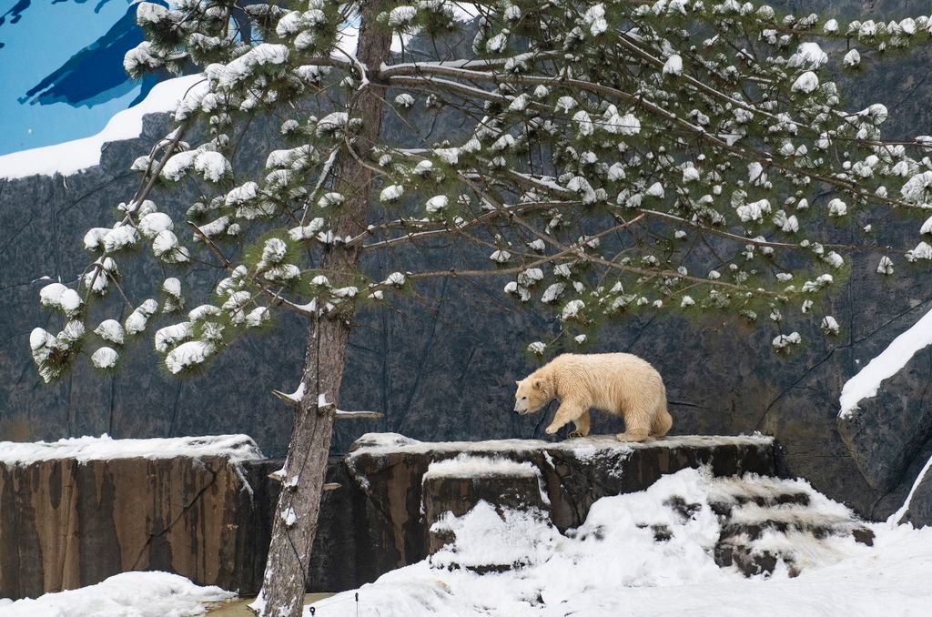 Havazás Nyíregyházán
