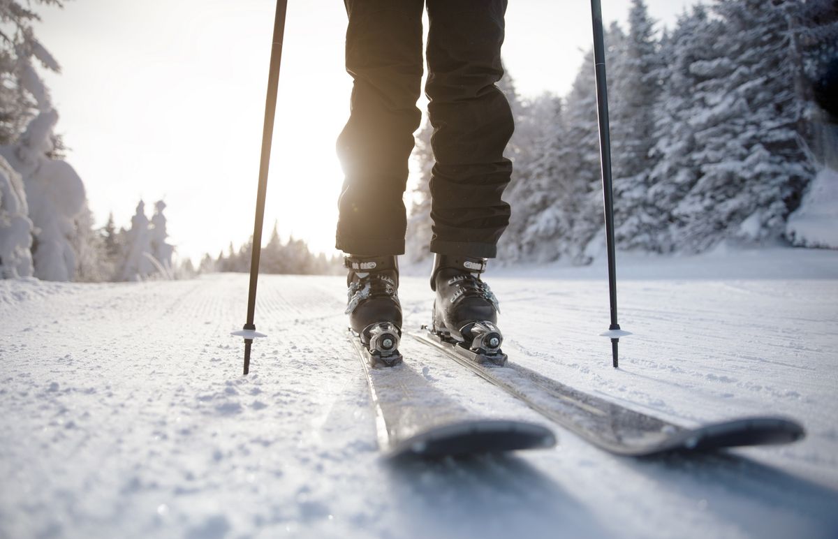 Skiing. Ski on First Tracks. Alpine skier going downhill skiing in morning on Fresh Tracks on groomed ski trail slope piste. Closeup of trail, skis and ski boots amongst snow covered trees.