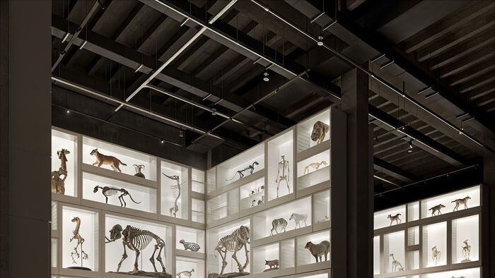 Természettudományi Múzeum