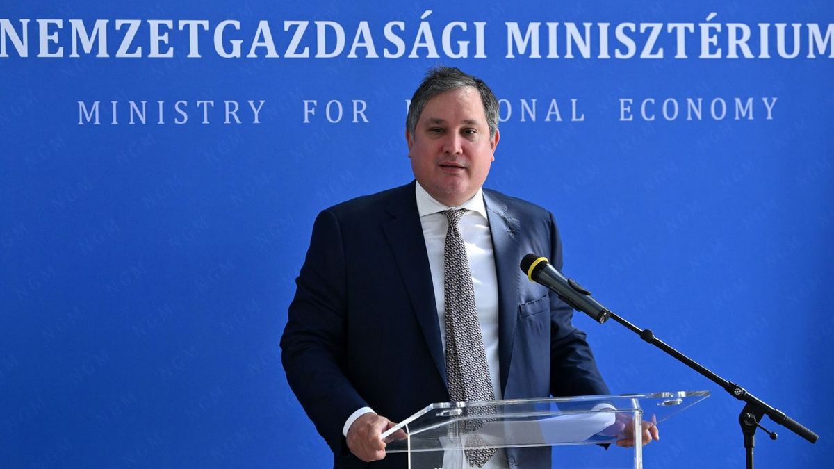 Nagy Márton: a Tisza valós gazdasági program híján csupán álmodozik