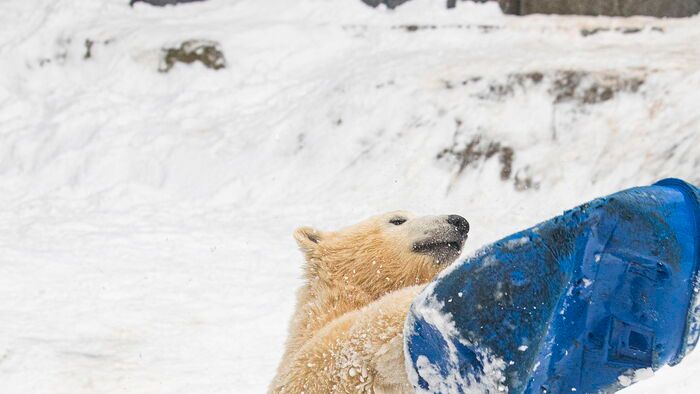 Havazás Nyíregyházán