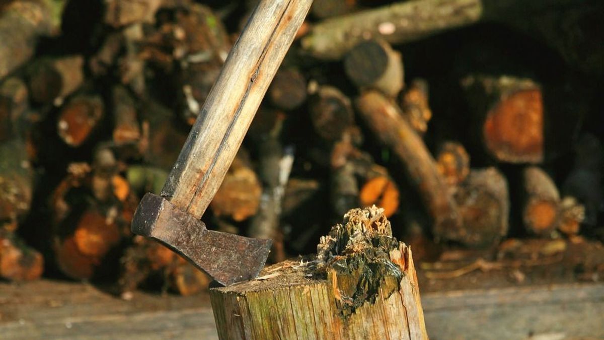 Rettenetes bűntény: tinédzserek végeztek ki baltával egy 15 éves fiút, megpróbálták felgyújtani a holttestét