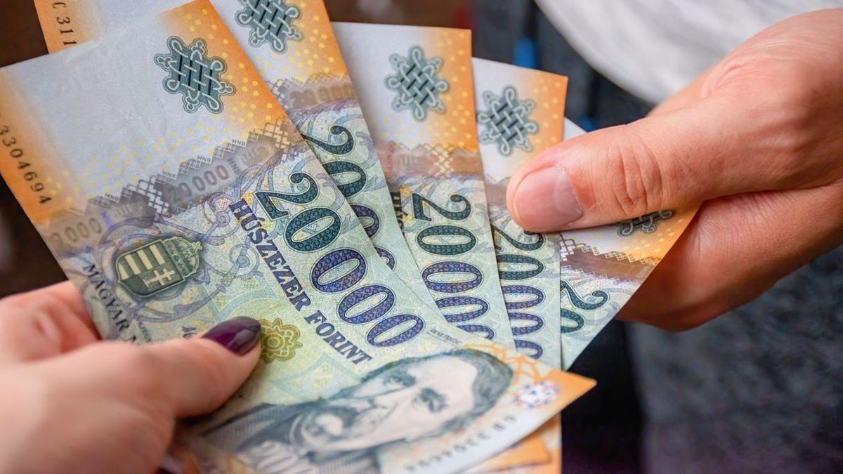 Megőrizte a nyugdíjak értékét a kormány, a baloldal mindent lerombolna + videó