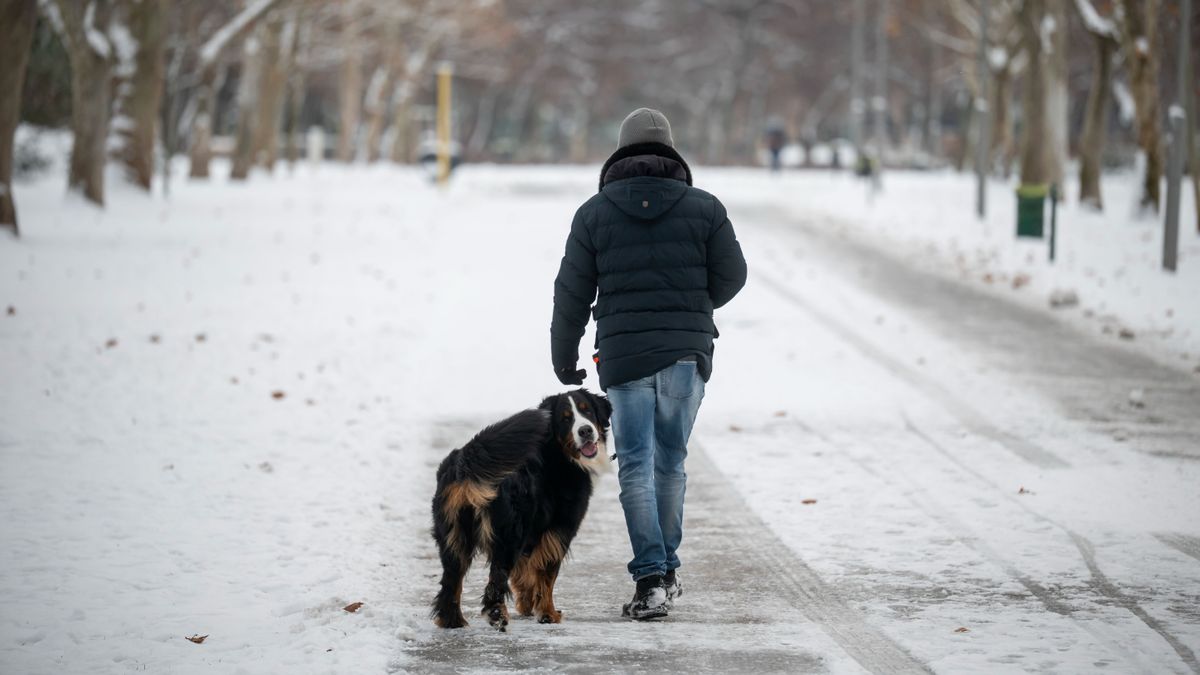 havazás, hó, németh lajos