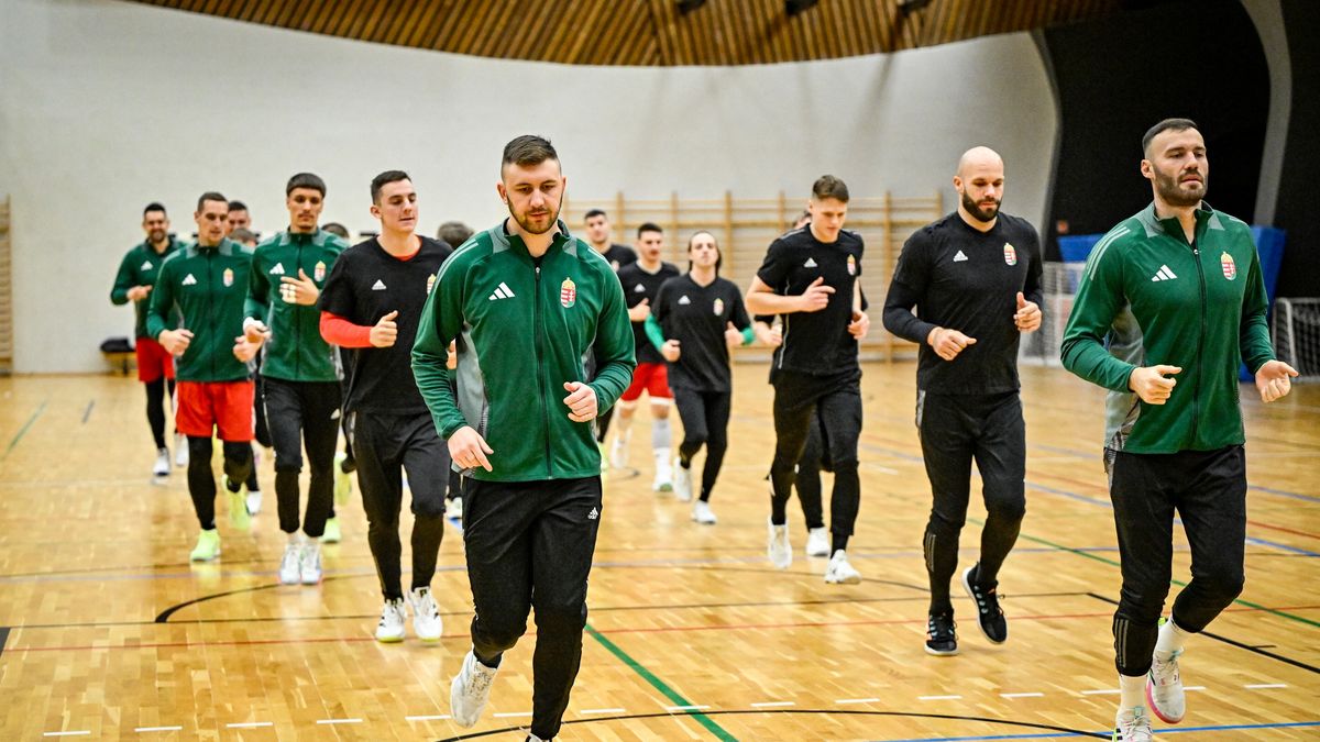Felcsúton rajtol a férfiválogatott Eb-felkészülése
