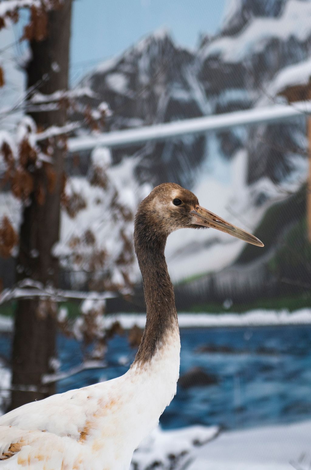 Havazás Nyíregyházán