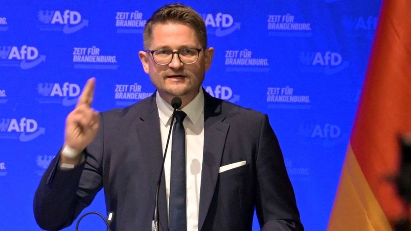 René Springer az AfD szövetségi elnöke
