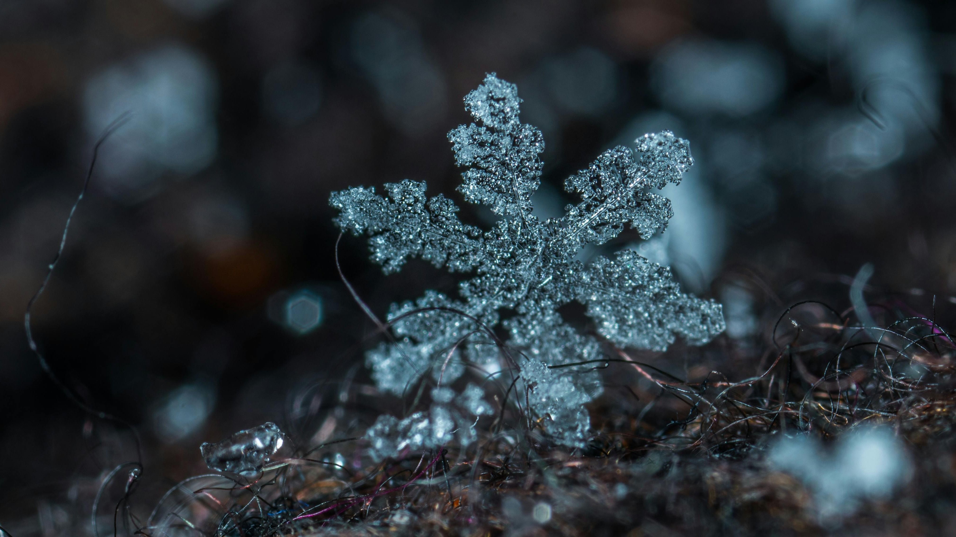 Kvíz kérdést ábrázoló kép.