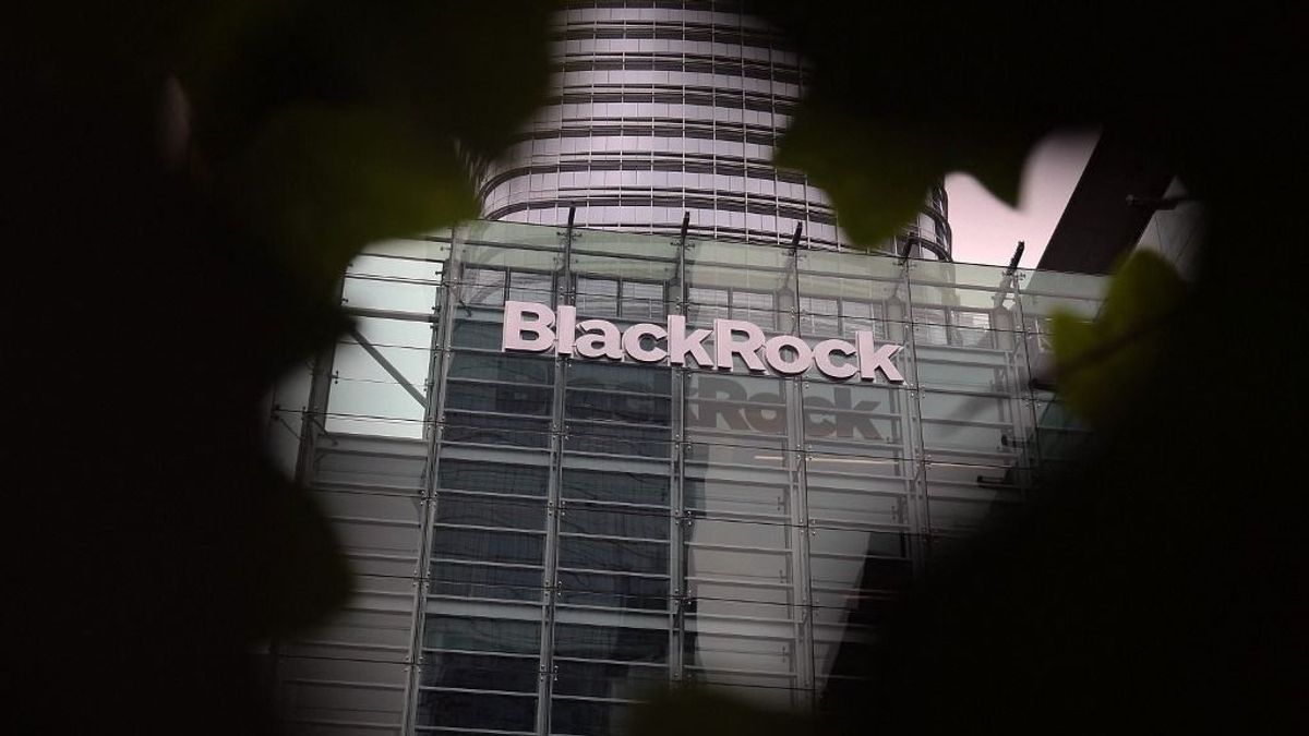 A BlackRock mára a világ ura lett