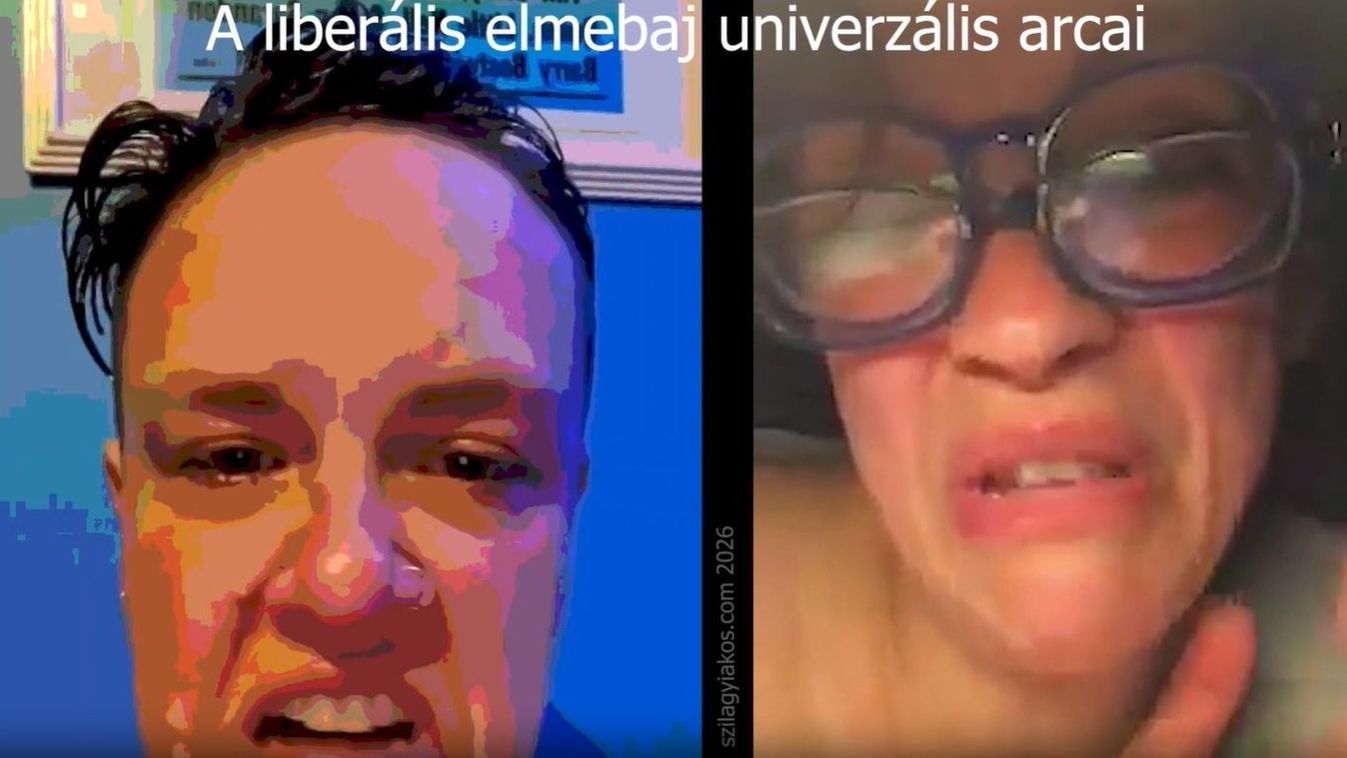 Cikk kép: undefined