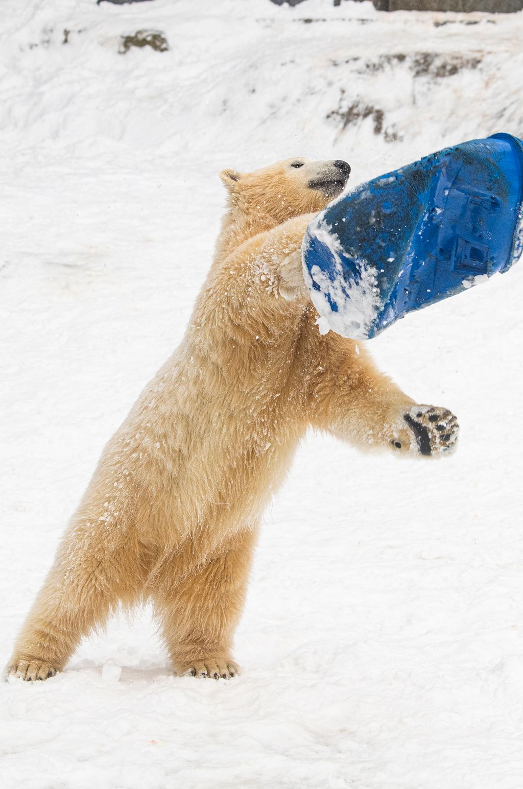 Havazás Nyíregyházán