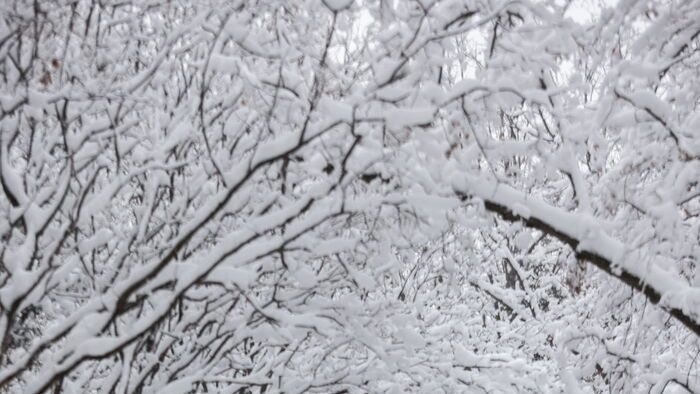 Havazás a Mecsekben