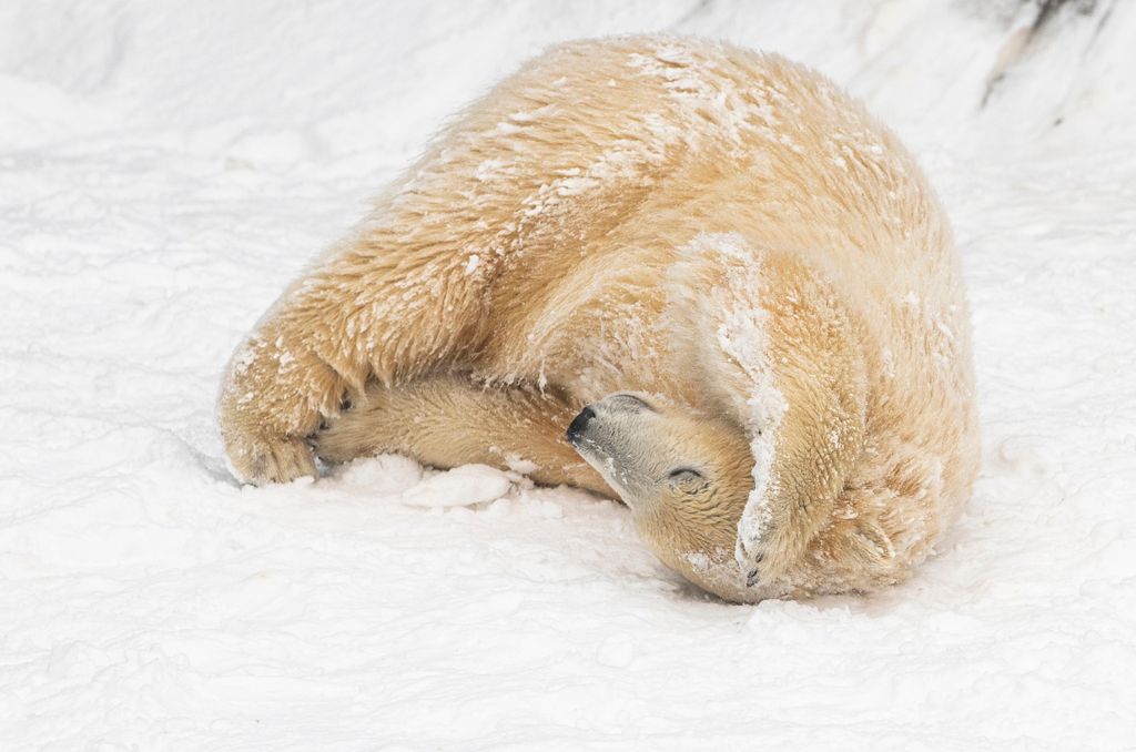 Havazás Nyíregyházán