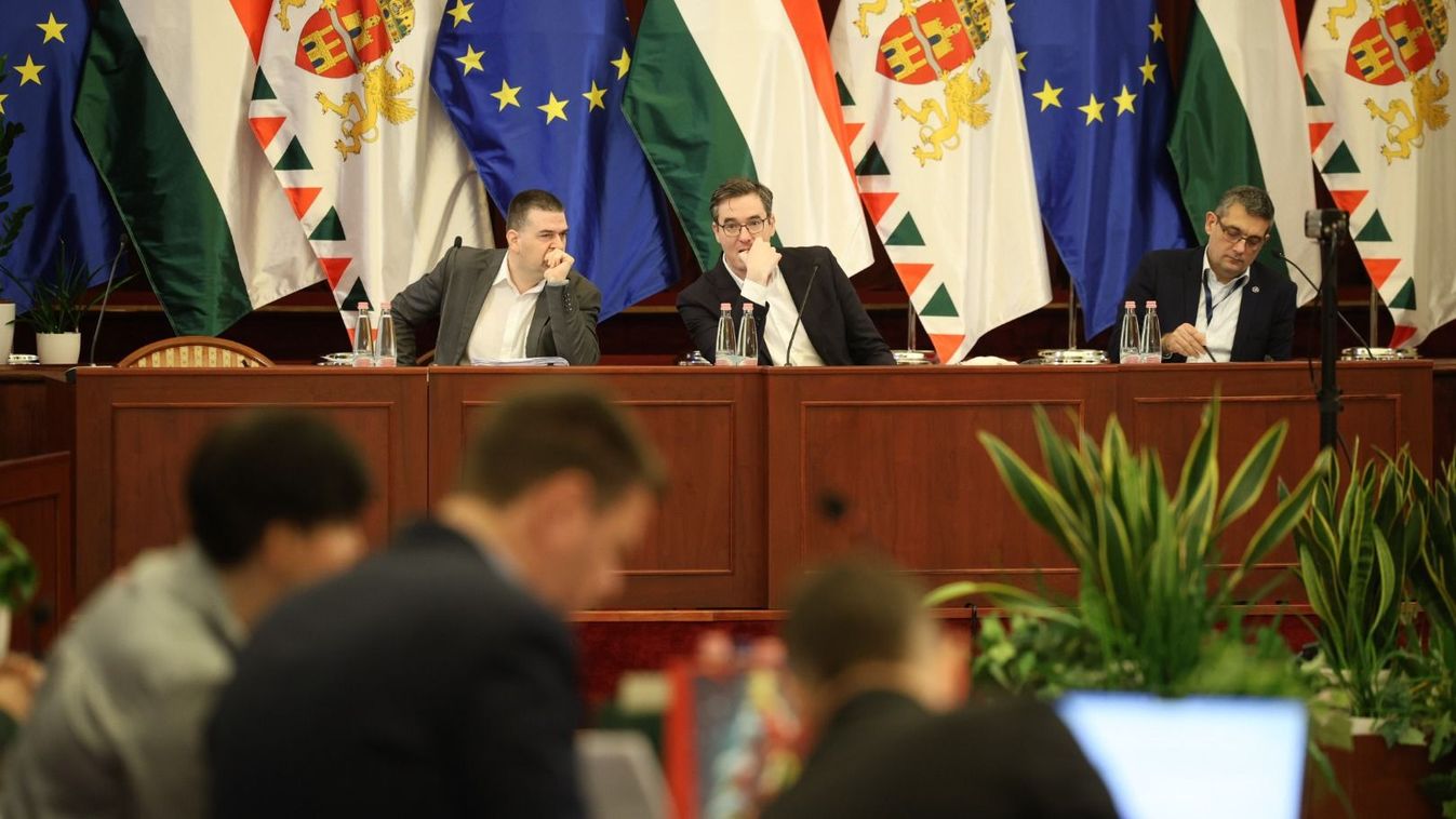 Fővárosi közgyűlés

Hatlacki Balázs