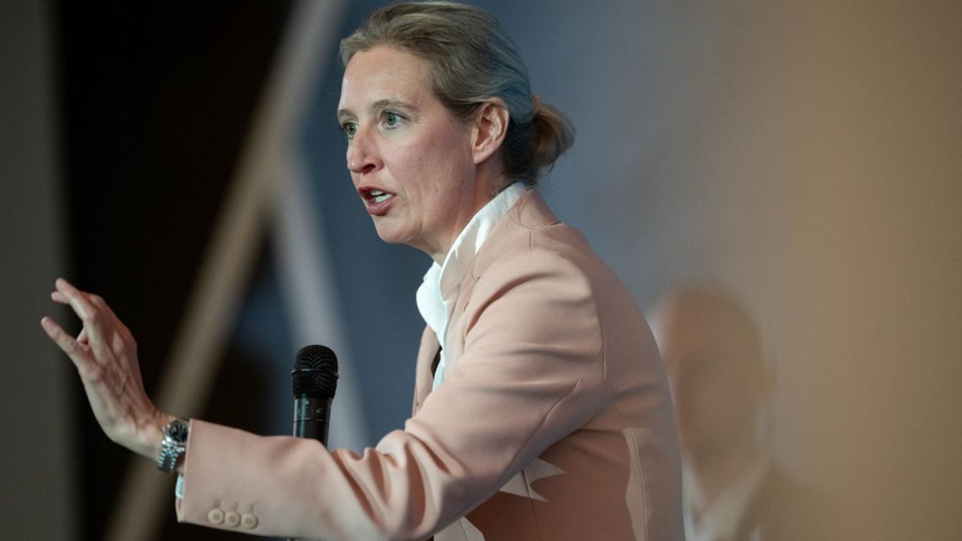 Alice Weidel (Fotó: AFP)