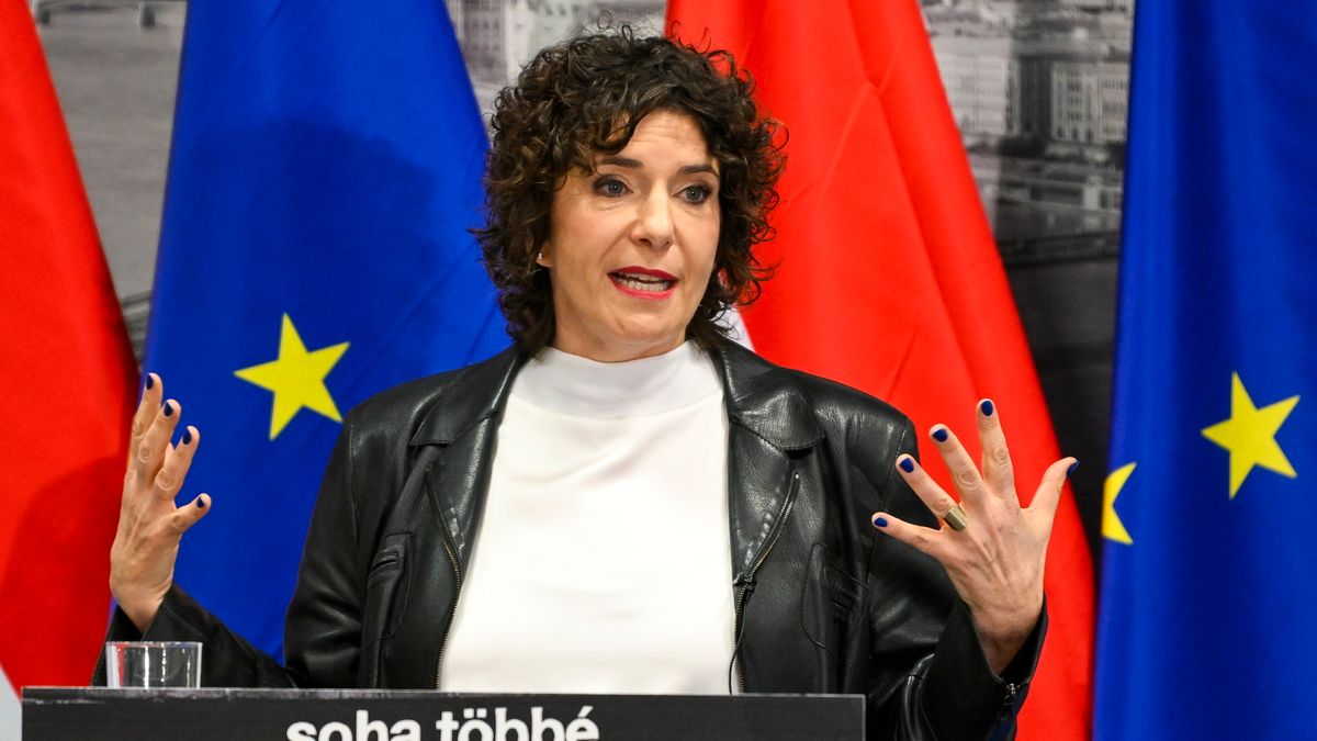 Házkutatást tartottak és bevitték a nyomozók Dunaújváros DK-s alpolgármesterét