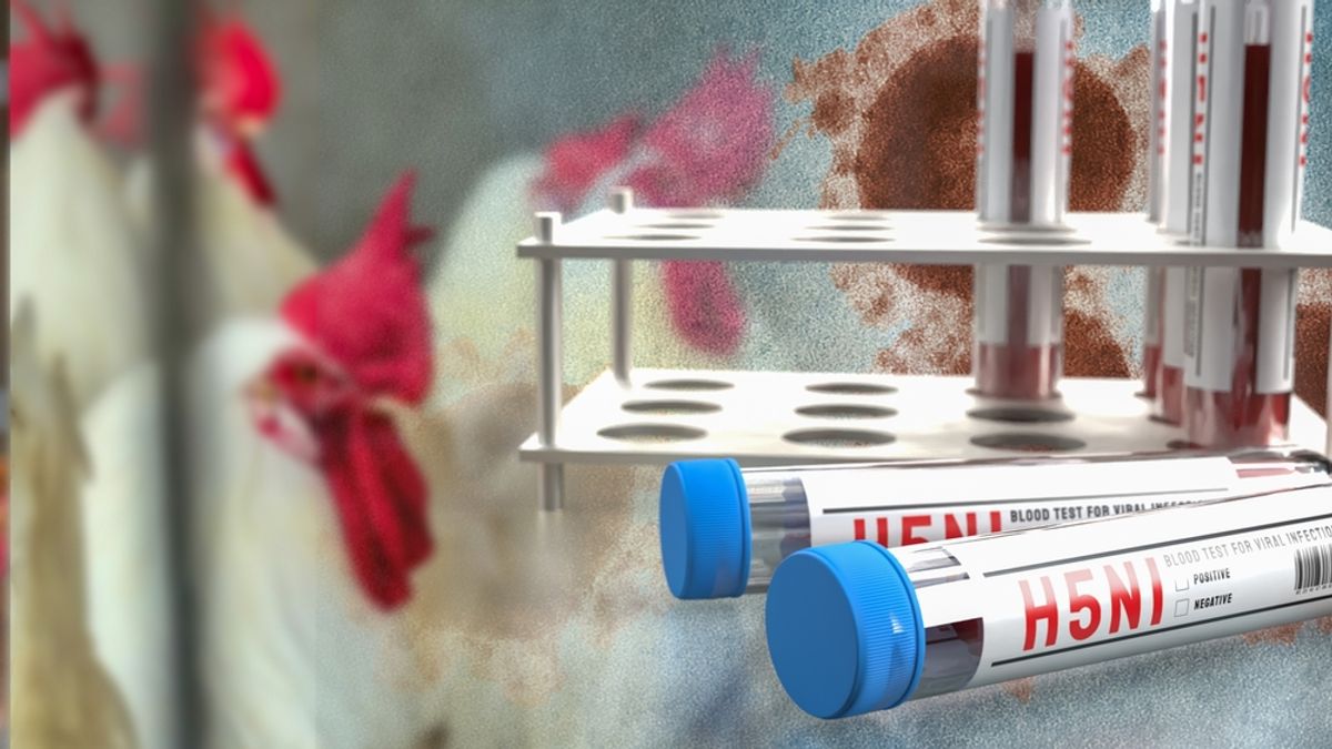 Letarolja Magyarországot a madárinfluenza