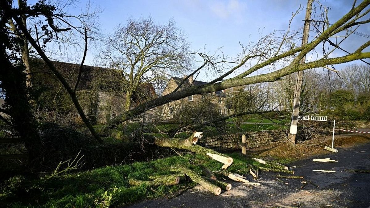 Nyugodt év pusztító júliussal