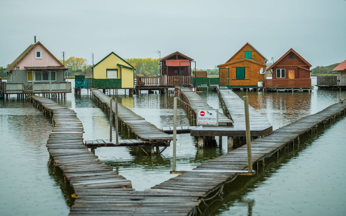 20201030 Bokod
A Bokodi-tó, a “lebegő falu” vagy “úszó horgászfalu” címkéket magára gyűjtő kis horgásztó. Cölöpökön álló színes horgászház-csoport alkot a hozzájuk vezető girbe-gurba stéghálózattal.
Fotó: Németh András Péter NAP
Szabad Föld