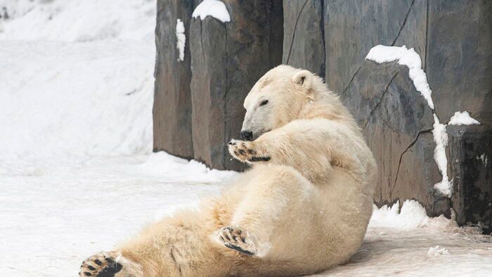 Havazás Nyíregyházán