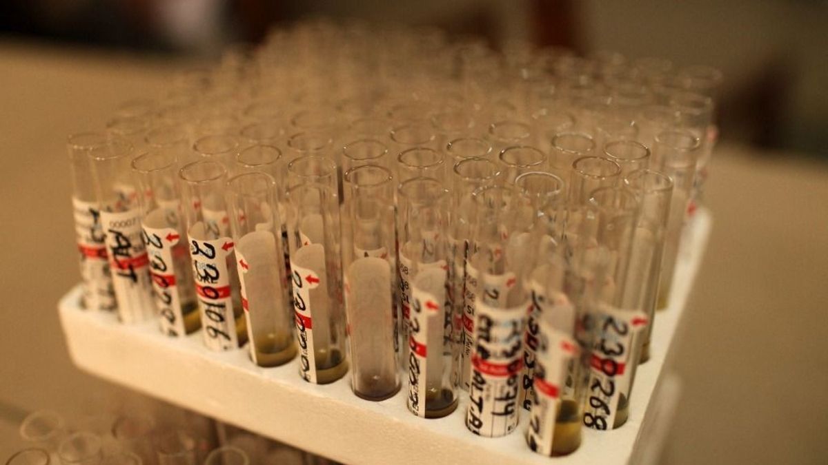 Halálos vírus terjed, a fertőzöttek több mint felét megöli + videó