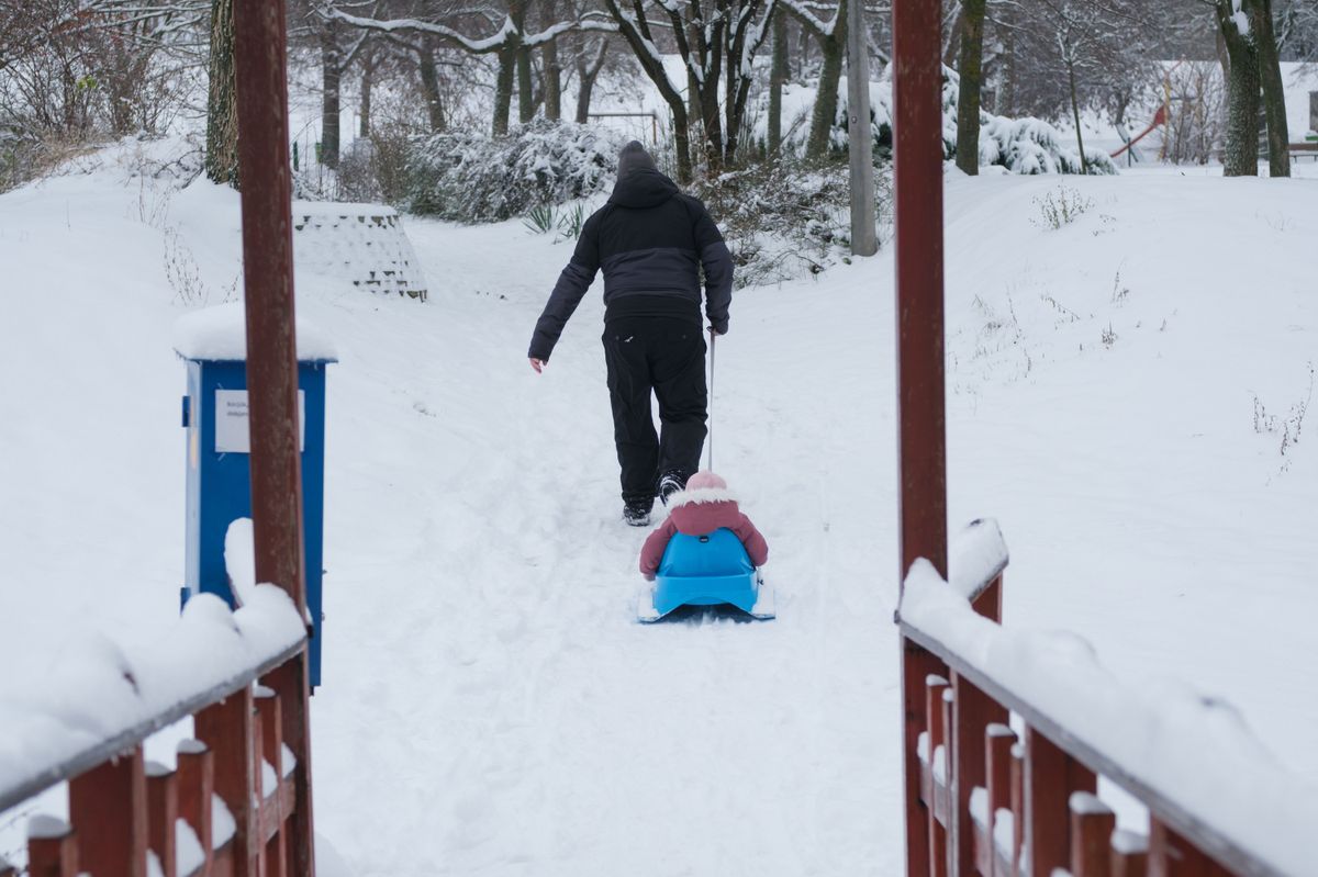 Szeged, 2026. január 7.
Kisgyereket húznak szánkón Szeged Tarján városrészében a havazás után 2026. január 7-én.
MTI/Oláh Tamás