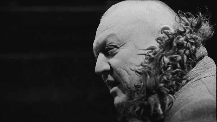 A torinói ló (2011)