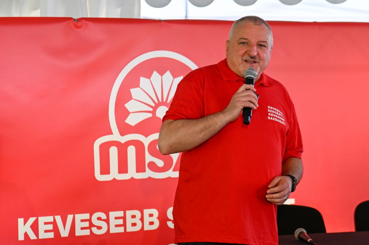 Komjáthi Imre, az MSZP elnöke beszédet (Fotó: MTI/Illyés Tibor)