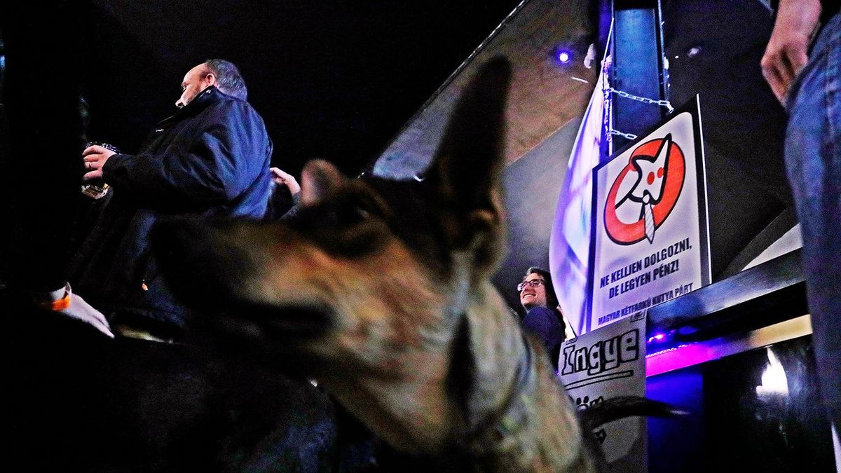 Elindult a dominó a baloldalon, a kétfarkú kutyapárt is bejelentette, hogy nem indulnak 2026-ban