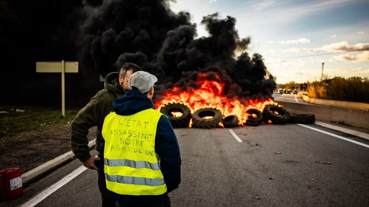 Óriási a tüntetés, a gazdák eltorlaszolták a francia–belga határt + videó