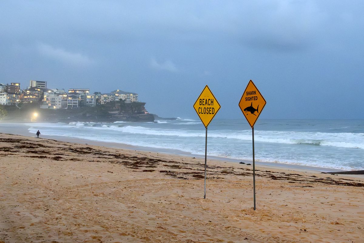 A visitor walks along the shoreline near the closed signage of the North Steyne Beach in Sydney on January 19, 2026. A shark mauled a surfer off an ocean beach in Sydney on January 19 in the Australian city's third shark attack in two days, authorities said. (Photo by Steven Markham / AFP)