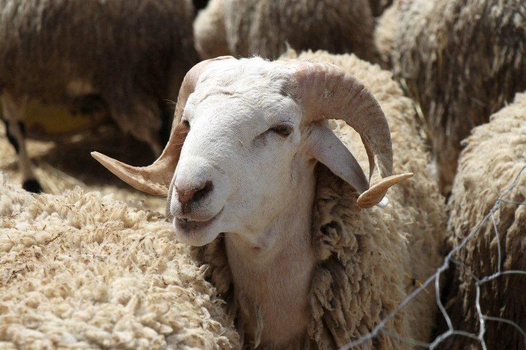 Texas kormányzója csütörtökön állami szintű veszélyhelyzetet hirdetett