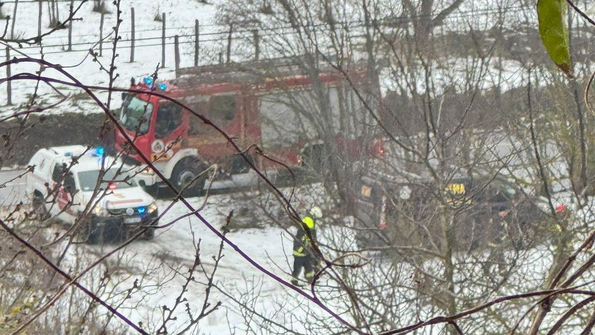 Talán a kutyaugatás zavarta? Megpróbálták felgyújtani az állatmenhelyet