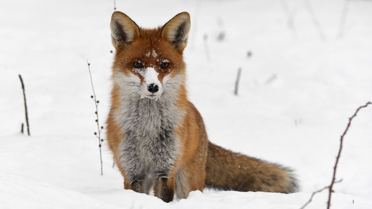 Ha azt hitte, a nehezén már túl vagyunk, tévedett, itt a legfrissebb időjárás-jelentés