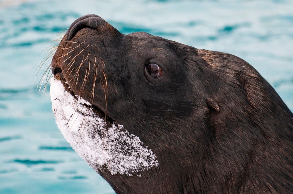 Havazás Nyíregyházán