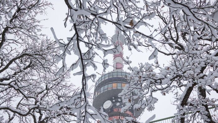 Havazás a Mecsekben