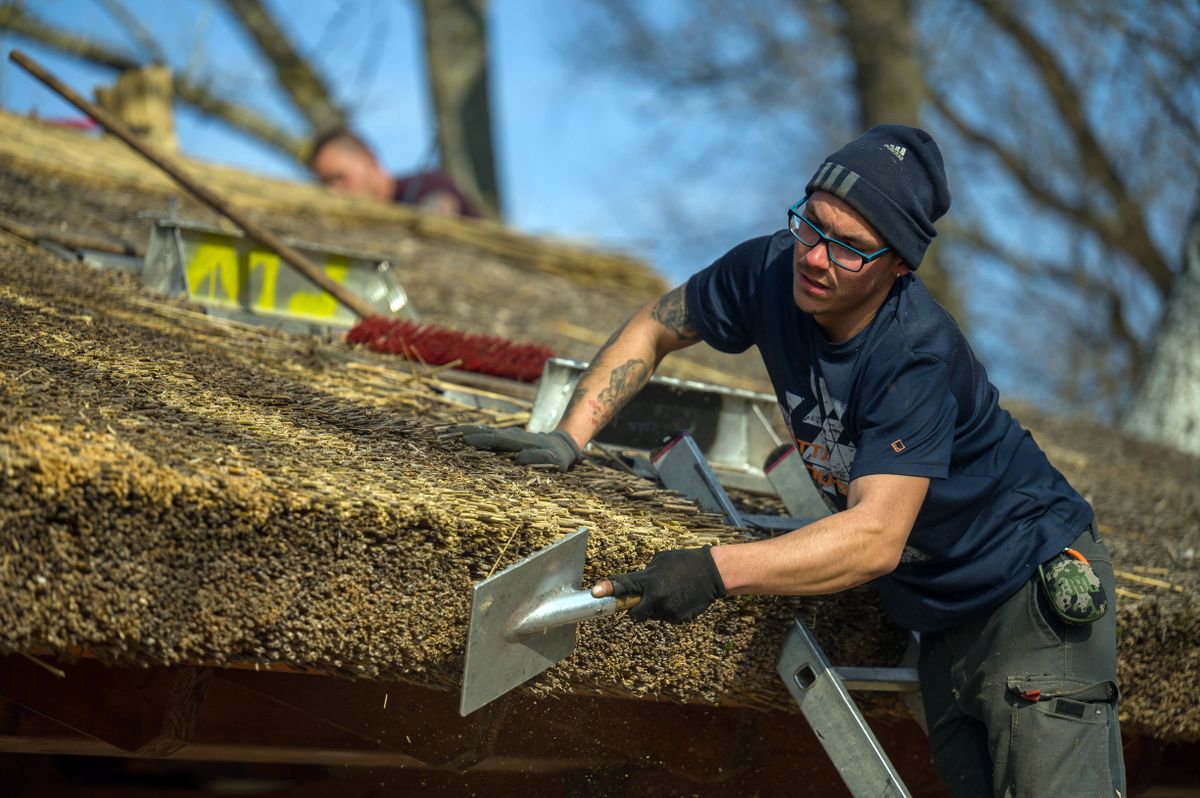 2022.02.16 TiszaörvényesTempo Nádtermékgyártó családi vállalkozásfotó: Németh András Péter Nap Szabad Földképen: a nádtető javítása, hvg