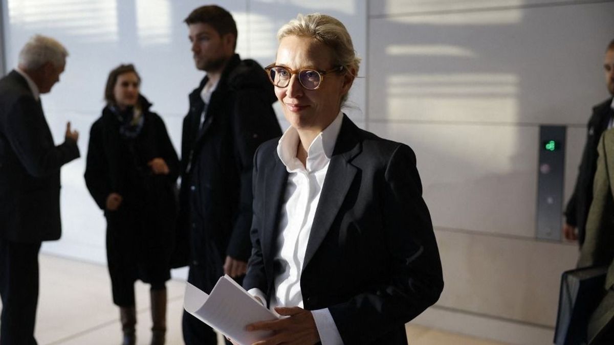 Történelmi csúcson az AfD